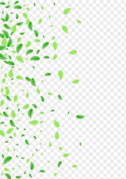 ライトグリーンリーフの背景透明ベクトル プロセスデザインを残す 素朴なテクスチャ 緑の現実的なカード シートリフレッシュ — ストックベクタ