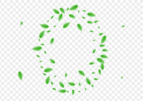 Світло Зелена Зелень Фон Прозорий Вектор Прикордонна Рамка Структура Картки — стоковий вектор