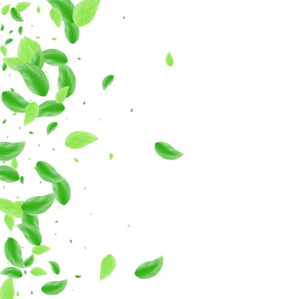 Yeşil Yapraklar Arkaplan Beyaz Vektör. Simge Tasarımı 'ndan çıkar. Kart ayarla. Yeşil desenli çerçeve. Yaprak Kenarlığı.