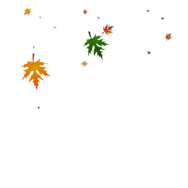 Renkli Yaprak Arkaplan Beyaz Vektörü. Yapraklar Mevsimi Tasarımı. Ocher Doğa. Logo çerçevesi. Sarı Yaprak Eylül.