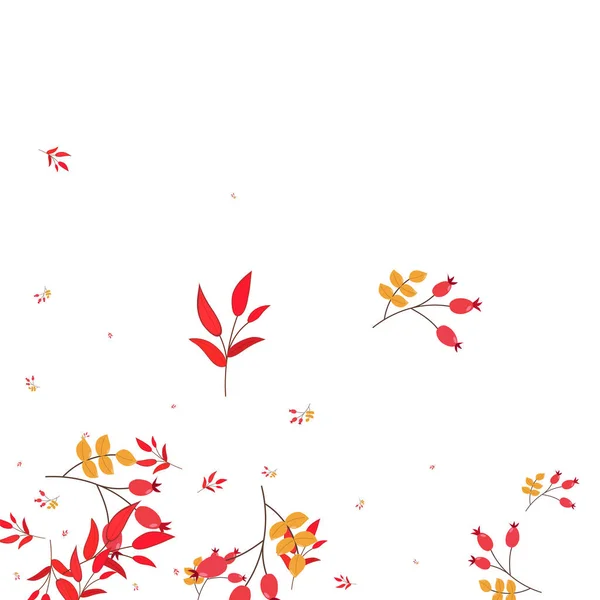 Burgundy Berries Beyaz Vektör. Doğa Tasarımı Bırakıyor. Kırmızı Yaprak Sonbaharı. Soyut Kart. Bitki Kuru.