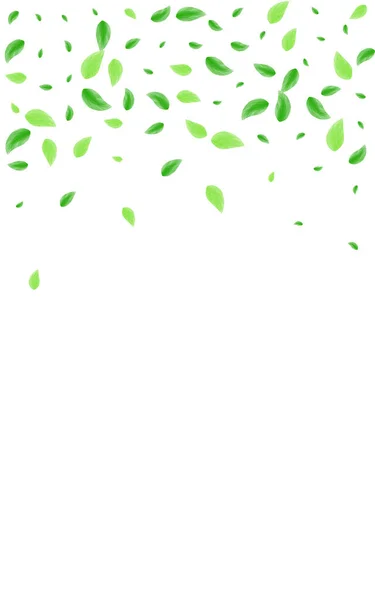 Groene Groene Achtergrond Witte Vector Loof Wilde Textuur Grenskader Lichtgroen — Stockvector