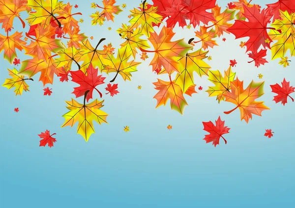 Ocher Arkaplan Mavi Vektörünü Bırakıyor. Çiçek soyut dokusu. Yeşil Parlak Yaprak. Ağaç Bitkisi Çizimi.