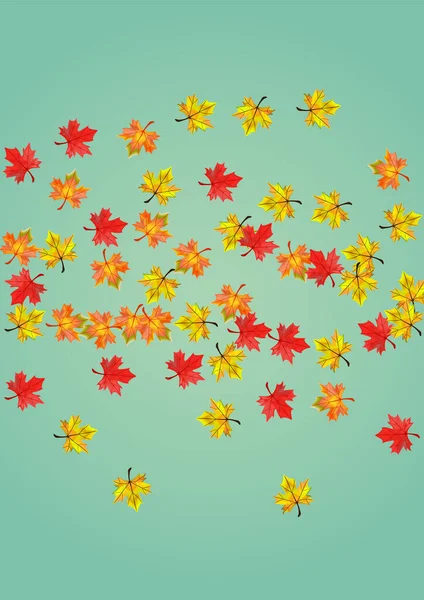 Renkli Çiçek Arkaplan Yeşil Vektörü. Geriye November Card kalıyor. Kırmızı Yaprak Koleksiyonu. Tasarım Yaprak Tasarımı.