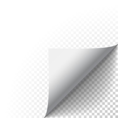 Vektör hasta kağıt soyma gölge ile kıvrım kıvrılmış