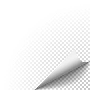 Vektör hasta kağıt edget gölge ile bükülmüş