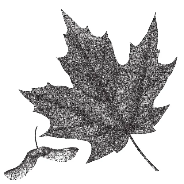 Czarny Vintage Grawerowanie jesienny liść klonu — Wektor stockowy
