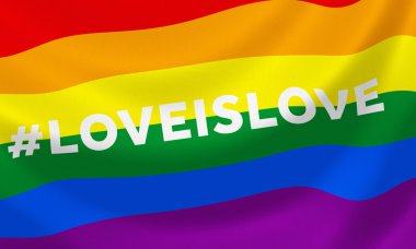 Gay rainbow equality flag with hashtag loveislove clipart