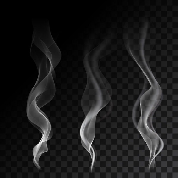 Светлые сигаретные дымовые волны на прозрачном фоне векторной иллюстрации
