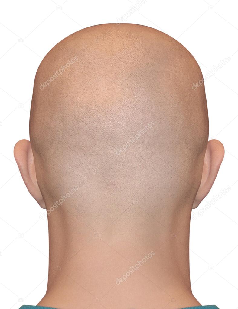 Shaved human male bald head neck