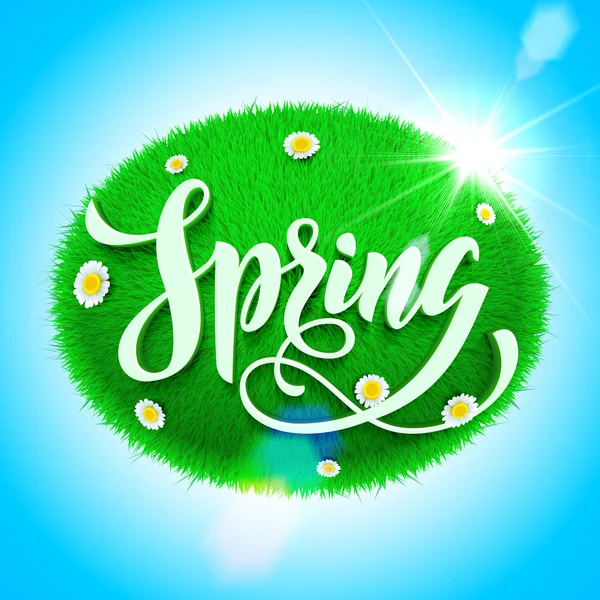 Cartaz da Primavera. Ilustração vetorial com título grama verde e flores — Vetor de Stock