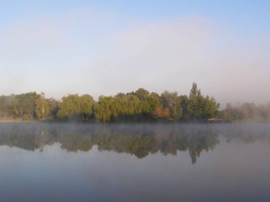 River in a fog with a forest landscape