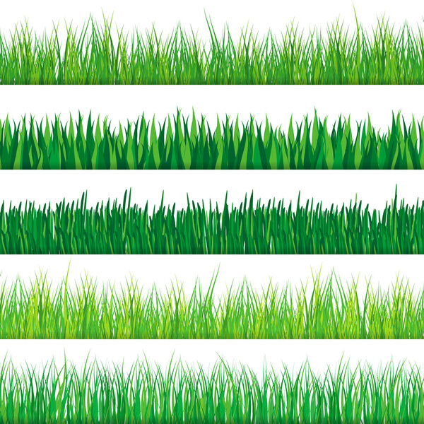 Green grass set. Isolated on white background