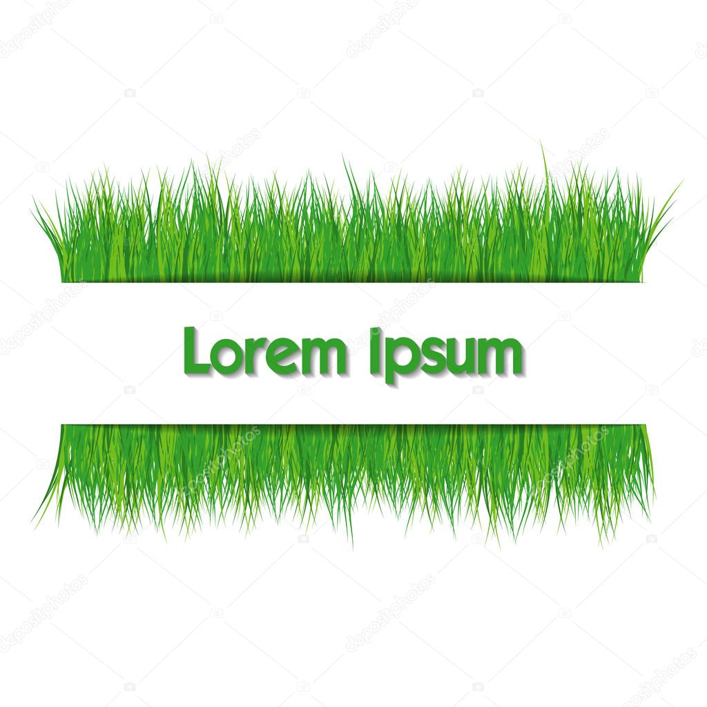 Frame with green grass on white background