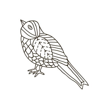 Vektör doodle siyah beyaz kuş