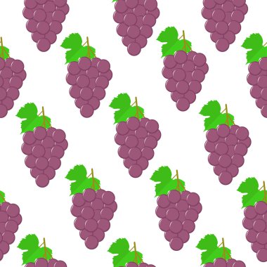 Seamless modeli. Beyaz arka plan üzerinde renkli üzüm