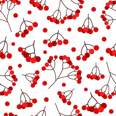 Rowanberry dikişsiz desen. Renkli Rowan. Vektör arkaplanı. 