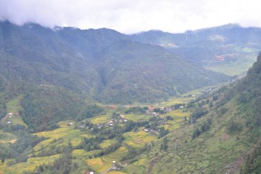 Rice fields on terraced in sunset at SAPA, Lao Cai, Vietnam. Rice fields prepare the harvest at Northwest Vietnam