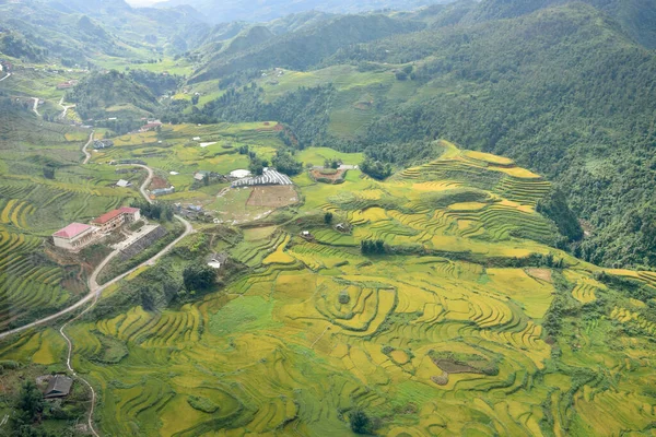 Scenic view of the picturesque bright rice terraces under the big mountain located in the Northern Vietnam, Sapa region