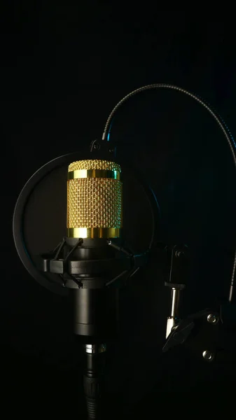 Studio Microphone Black Background Home Recording — Stock Photo, Image