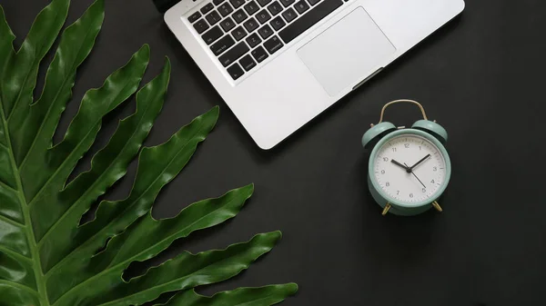 Green leaves laptop alarm clock on black background 
