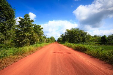 Red dirt road in the tropical jungle