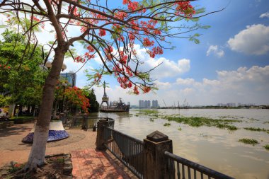 Hochiminh City, Vietnam - June 7, 2015: In summer, red Poinciana have blossomed on the bank of Saigon River. Over there the ships Into the harbor awaiting Repaired