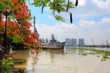 Hochiminh City, Vietnam - June 7, 2015: In summer, red Poinciana have blossomed on the bank of Saigon River. Over there the ships Into the harbor awaiting Repaired