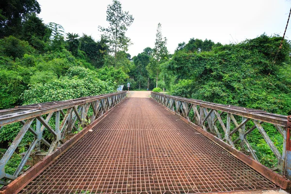 Vecchio ponte di ferro nella foresta — Foto Stock
