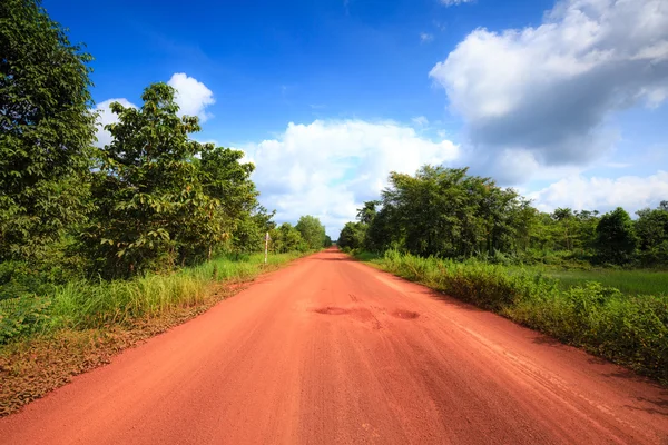 Red dirt road in the tropical jungle