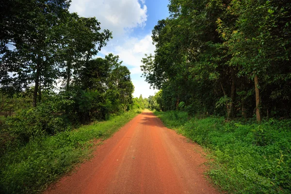 Red dirt road in the tropical jungle