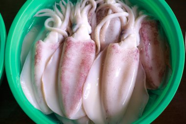 Pazar üretmek, taze kalamar