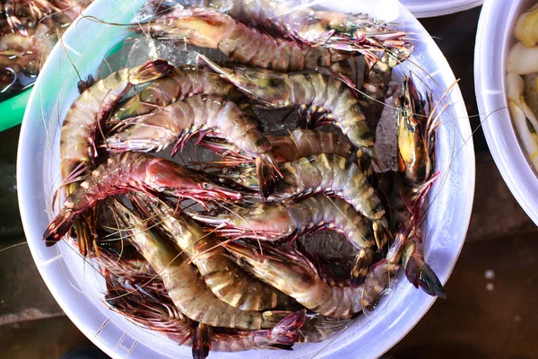 plastik kaplarda karides