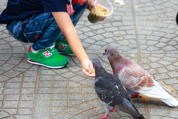 Hochiminh City, Vietnam - July 14, 2015: feeding pigeons on hands of a baby boy on the streets of Saigon — Stock Photo, Image
