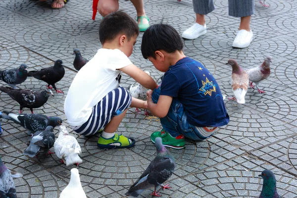 Hochiminh City, Vietnam - 14 Temmuz 2015: Saigon sokaklarında güvercin besleme için iki bebek