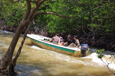 Ho Chi Minh City, Vietnam - June 28, 2015 - Tourists visit the Mangroves Carrying Canoes Gio war zone, HoChiMinh City, Vietnam