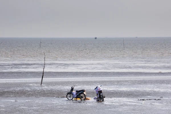 Cangio, Ho Chi Minh City, Vietnam - June 28, 2015 - Farmers are curious two motorcycle of catch clams, sea scallops Gio, HoChiMinh City, Vietnam