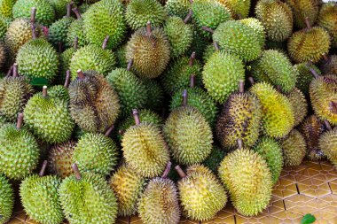 durian meyve meyve fuarlarında Viet Nam