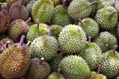 Durian ile büyük sepet