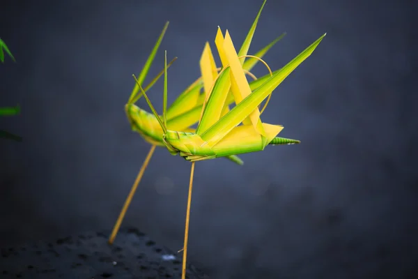 고리 버들 세공의 코코넛 잎 메뚜기 — 스톡 사진