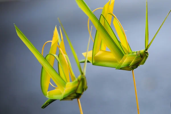 고리 버들 세공의 코코넛 잎 메뚜기 — 스톡 사진