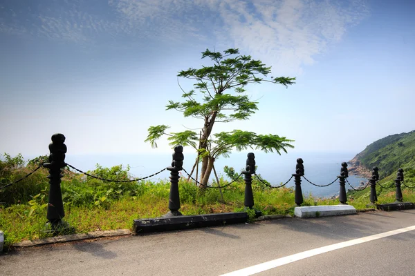 Árbol solitario al lado de un camino de montaña — Foto de Stock