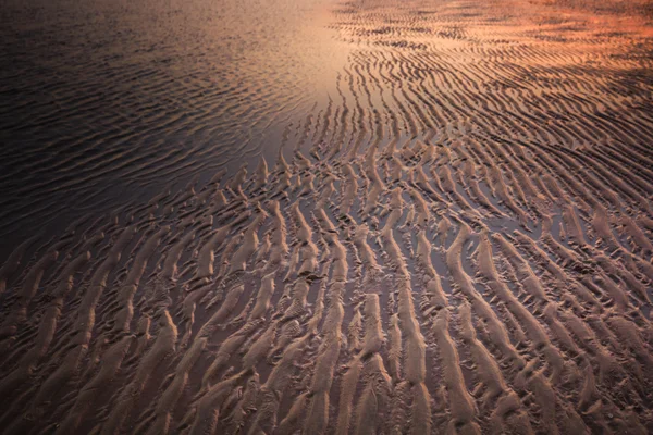 Sand på stranden vid solnedgången bild — Stockfoto