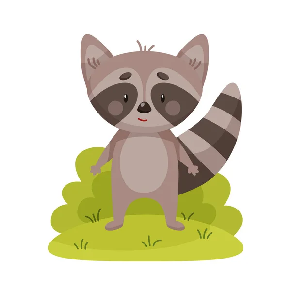 Cute Cartoon Raccoon Gray Raccoon Standing Grass White Background — Vector de stock