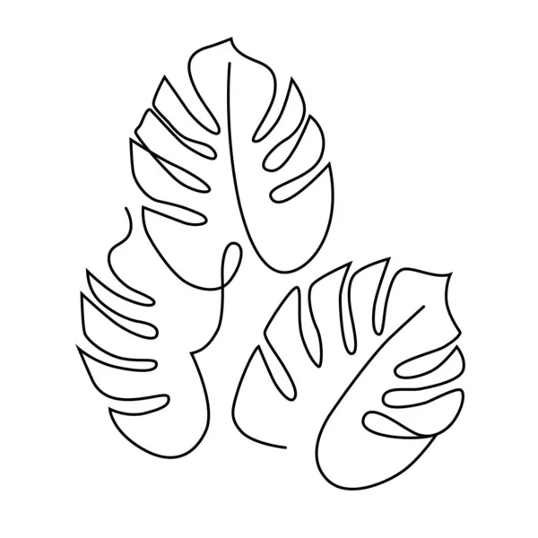 Botanik çizgisi sanat vektörü. Çağdaş soyut bir yaprak çizimi. Monstera bitkisel dizayn baskı, kapak, minimalist dövme.