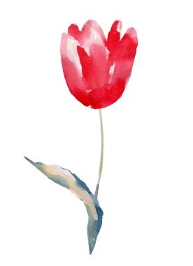 atercolor illüstrasyon izole beyaz arka plan üzerinde