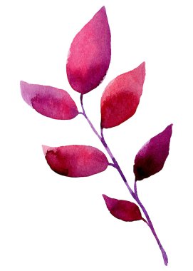 Suluboya yaprak elemanları tasarımı için.