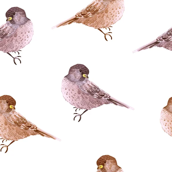 Acuarela patrón sin costura con las aves . — Archivo Imágenes Vectoriales
