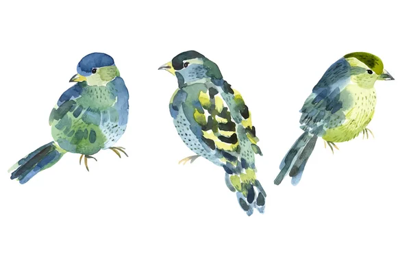 Aquarelle collection d'oiseaux pour votre design . — Image vectorielle