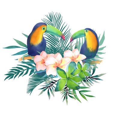 Toucans ile suluboya resim